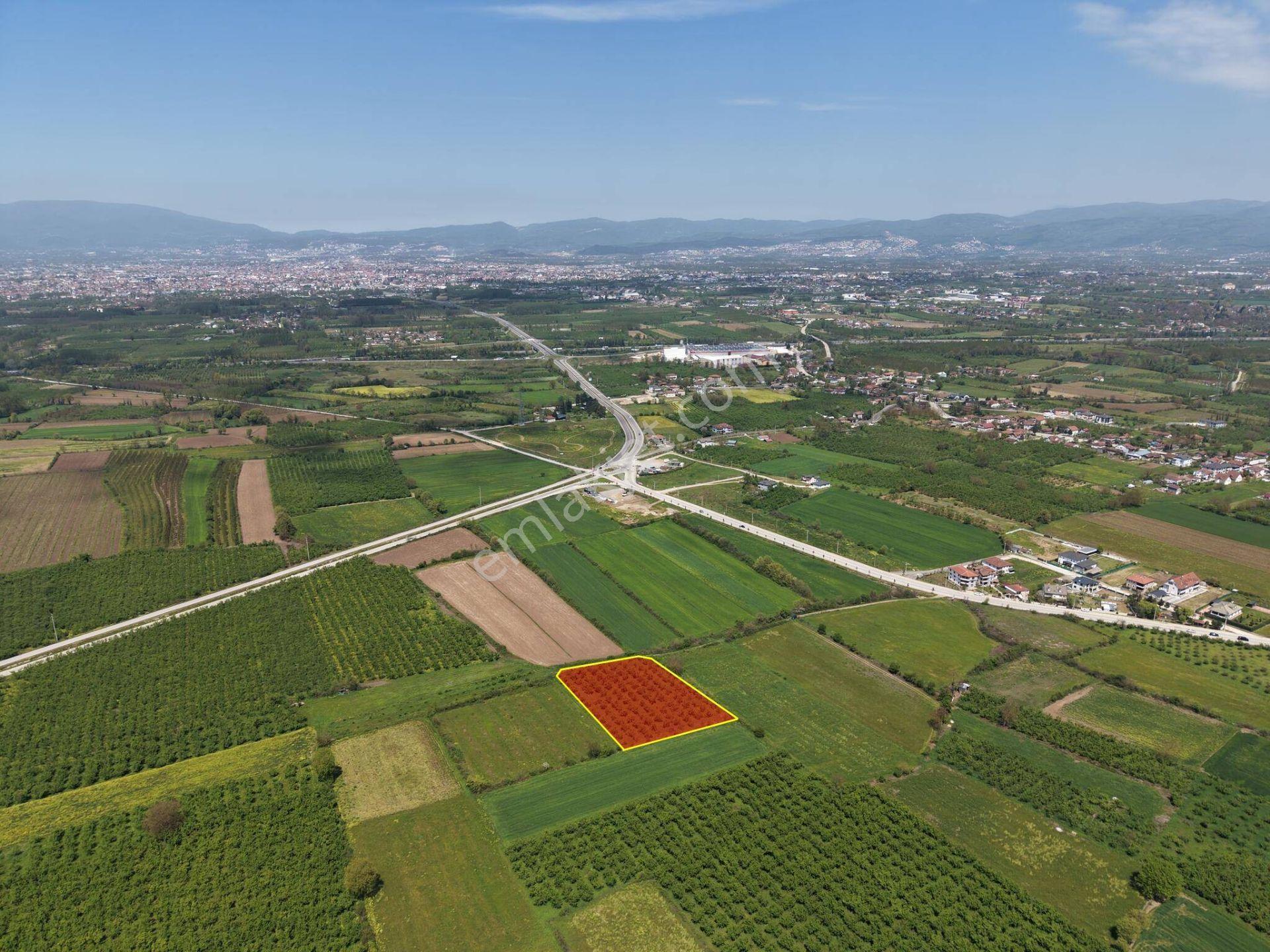 Beyköy/yeni Mahalle’de 5.161 M² Satılık Arazi - Görsel 3