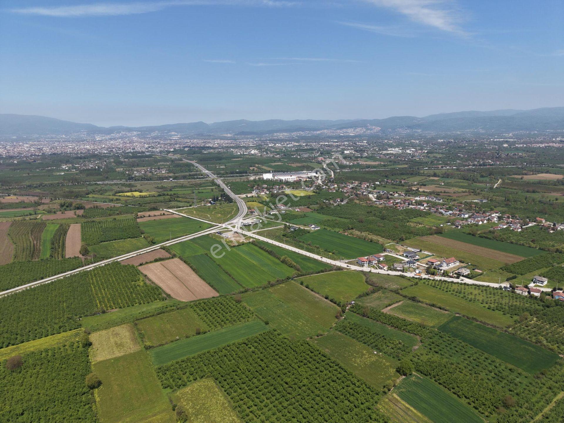 Beyköy/yeni Mahalle’de 5.161 M² Satılık Arazi - Görsel 24