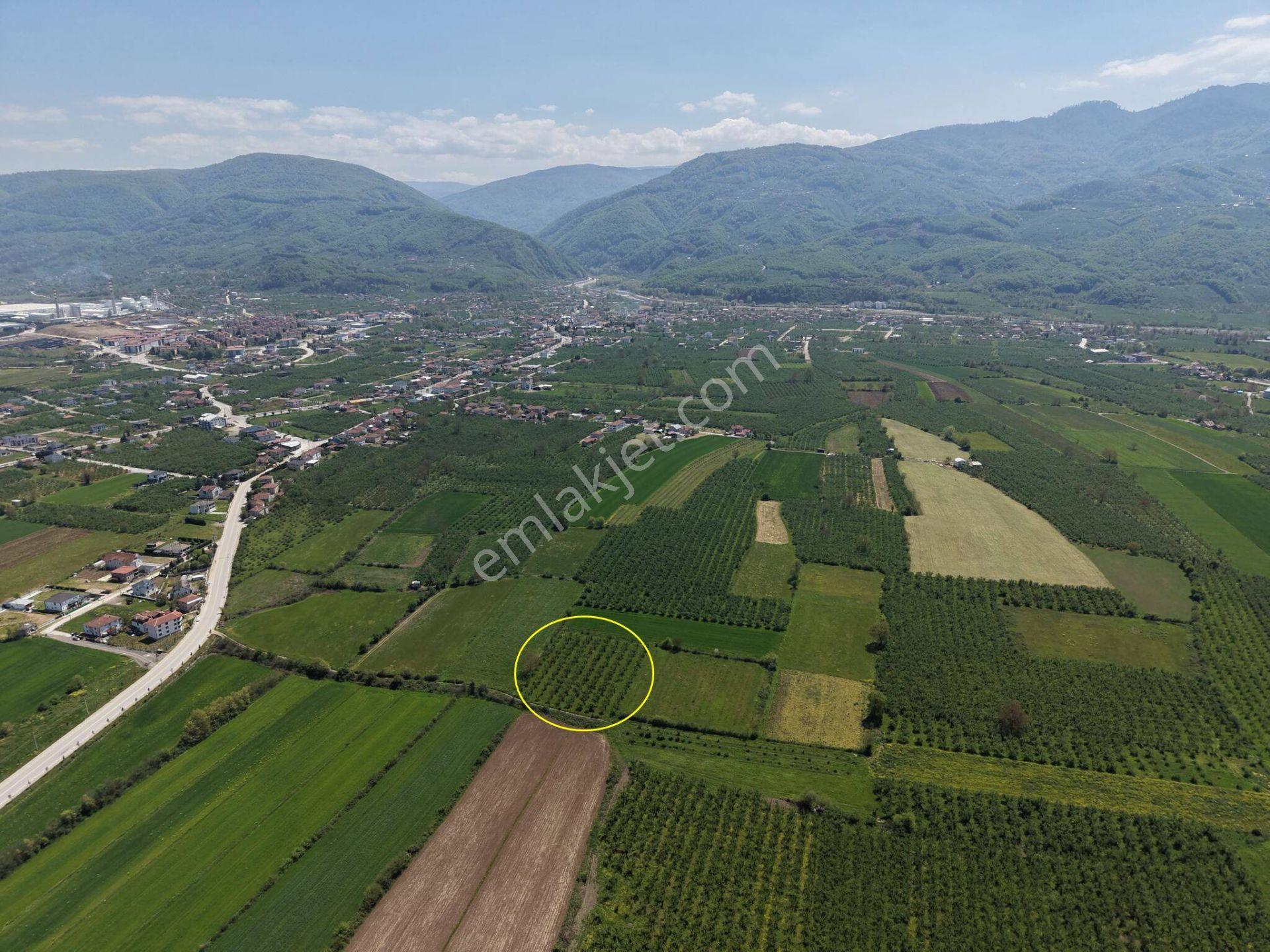 Beyköy/yeni Mahalle’de 5.161 M² Satılık Arazi - Görsel 33