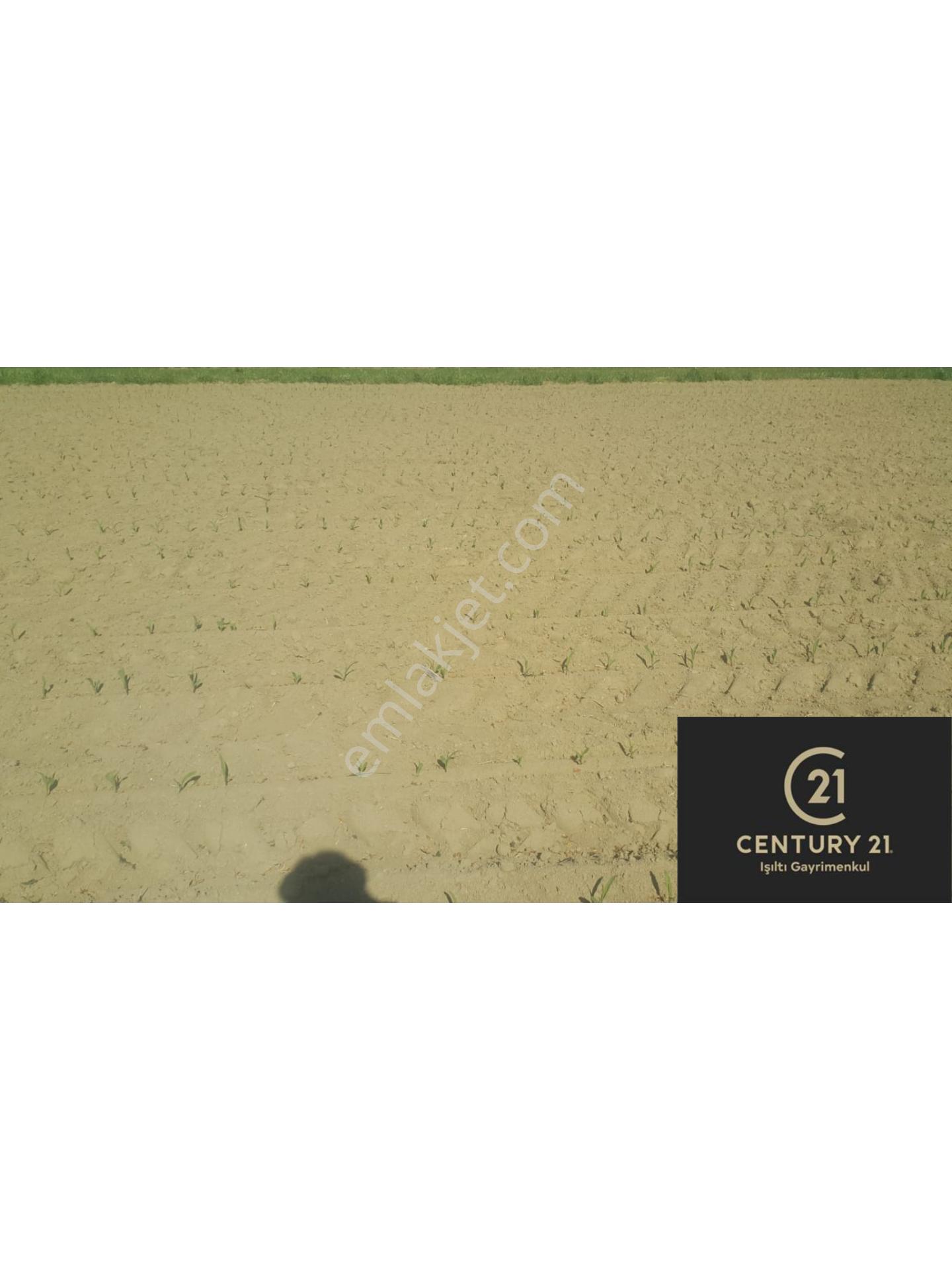 Century 21 Işıltı'dan Çine'de Satılık Verimli Tarla - Görsel 3