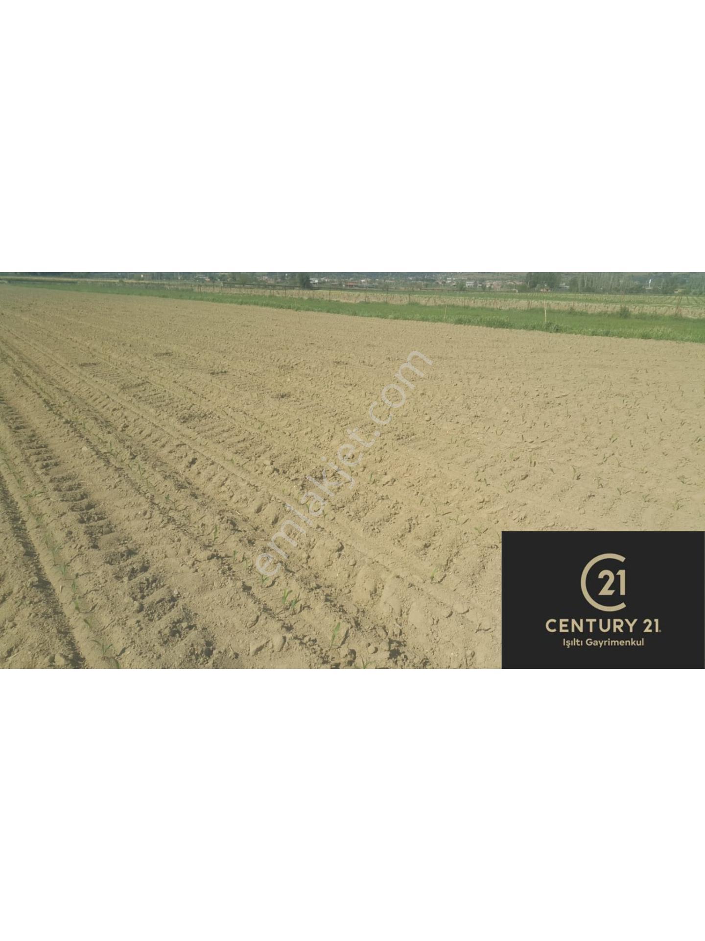 Century 21 Işıltı'dan Çine'de Satılık Verimli Tarla - Görsel 4