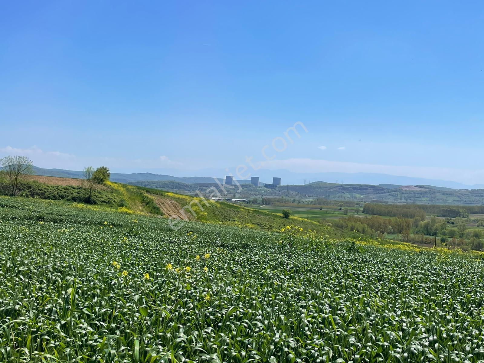 Söğütlü İmamlarda 1260m2 Resmi Yollu Fırsat - Görsel 19