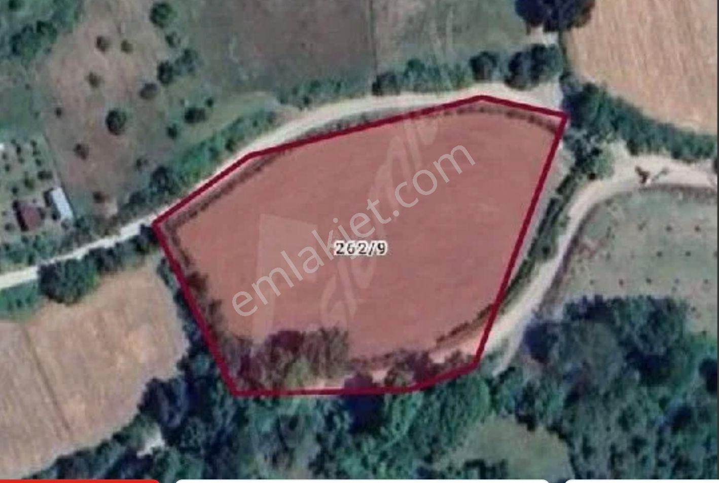 Nuh Gayrimenkul Avcı Köyde Acil Satılık 5113² %5 İmarlı Köşe Tarla