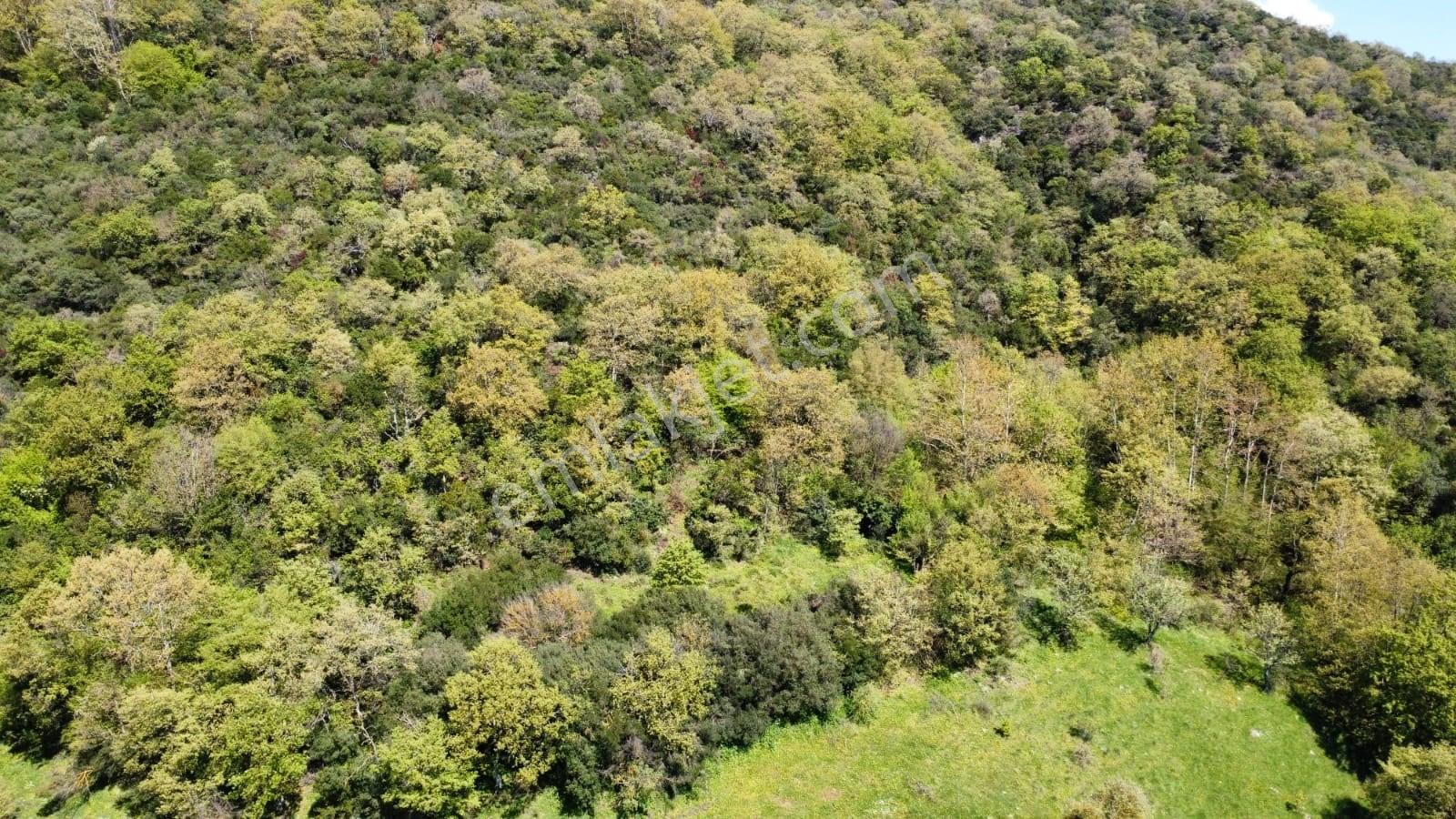 Balıkesir Gönen Gaybular Mahallesinde Ana Yol Üzerinde 17400m2 Satılık Tarla - Görsel 16