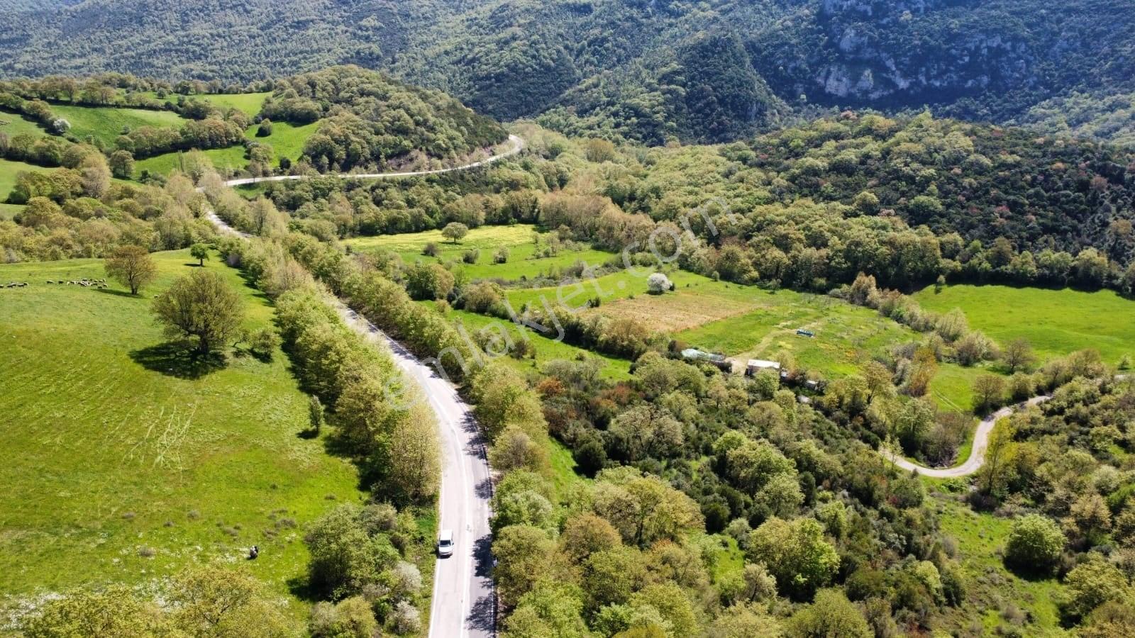 Balıkesir Gönen Gaybular Mahallesinde Ana Yol Üzerinde 17400m2 Satılık Tarla - Görsel 19