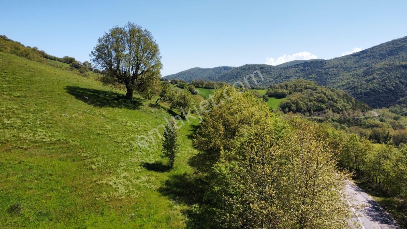 Balıkesir Gönen Gaybular Mahallesinde Ana Yol Üzerinde 17400m2 Satılık Tarla - Görsel 21