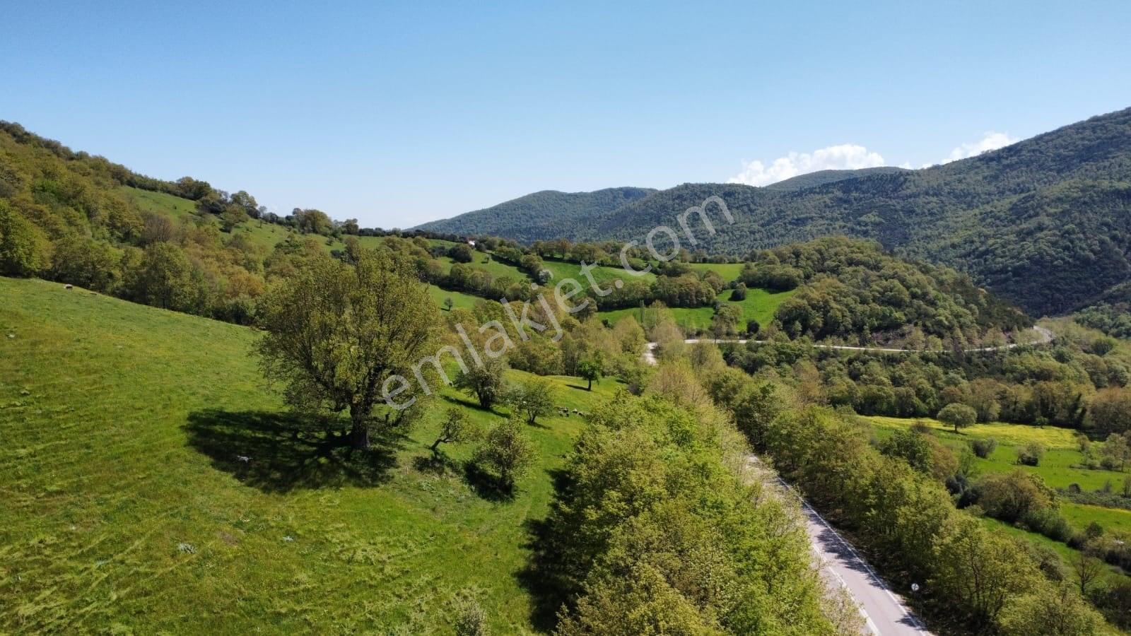 Balıkesir Gönen Gaybular Mahallesinde Ana Yol Üzerinde 17400m2 Satılık Tarla - Görsel 8