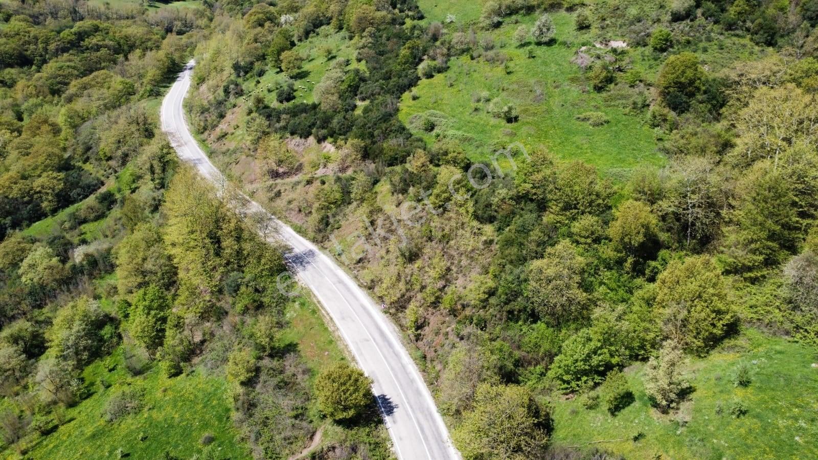 Balıkesir Gönen Gaybular Mahallesinde Ana Yol Üzerinde 17400m2 Satılık Tarla - Görsel 17