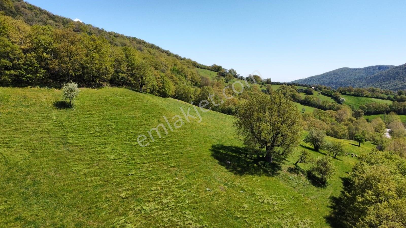 Balıkesir Gönen Gaybular Mahallesinde Ana Yol Üzerinde 17400m2 Satılık Tarla - Görsel 12