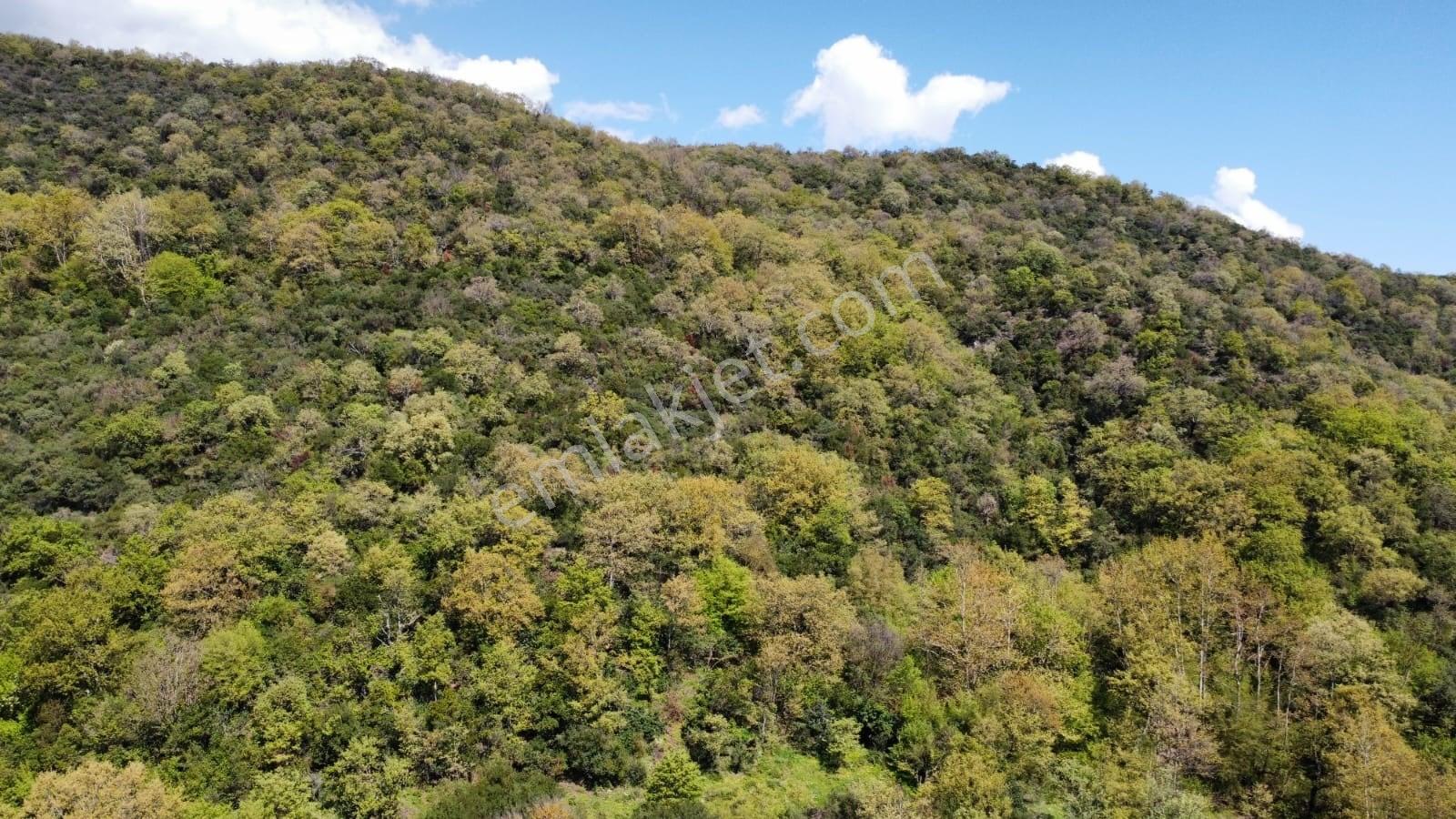 Balıkesir Gönen Gaybular Mahallesinde Ana Yol Üzerinde 17400m2 Satılık Tarla - Görsel 11