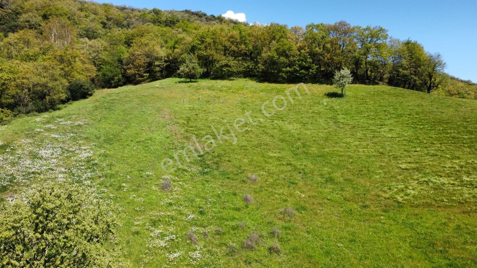 Balıkesir Gönen Gaybular Mahallesinde Ana Yol Üzerinde 17400m2 Satılık Tarla - Görsel 15