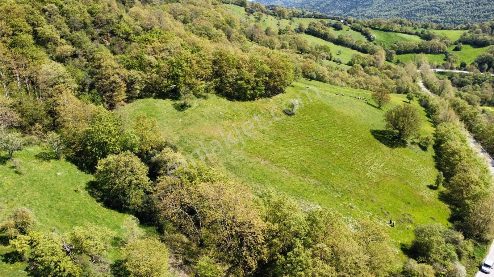 Balıkesir Gönen Gaybular Mahallesinde Ana Yol Üzerinde 17400m2 Satılık Tarla - Görsel 2