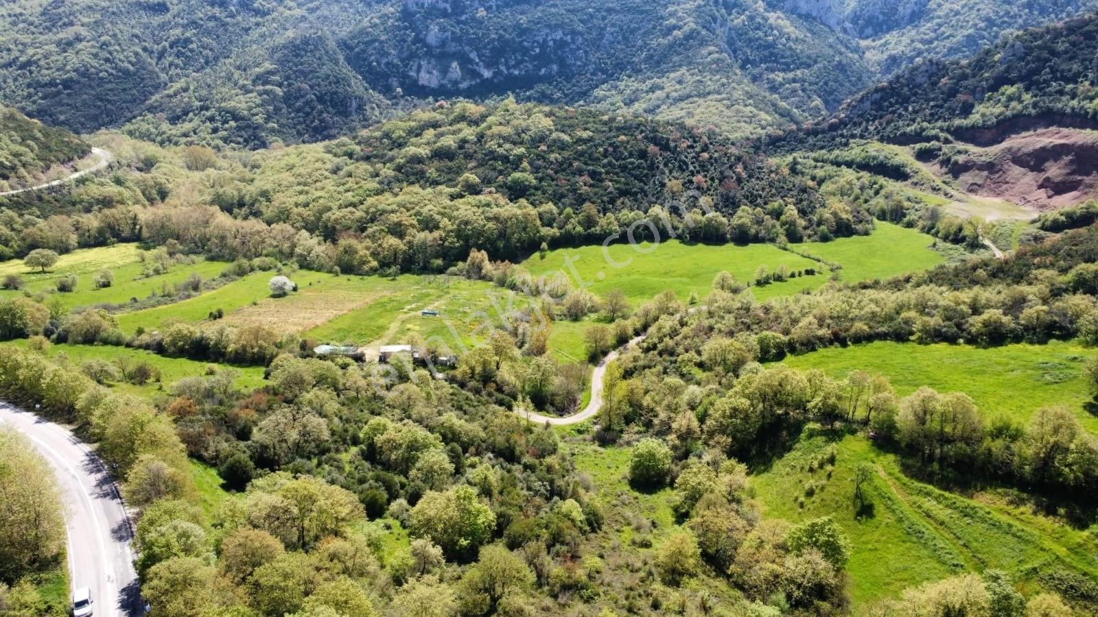 Balıkesir Gönen Gaybular Mahallesinde Ana Yol Üzerinde 17400m2 Satılık Tarla - Görsel 7