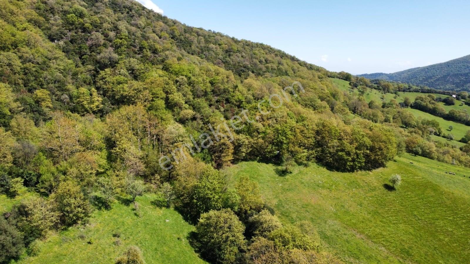 Balıkesir Gönen Gaybular Mahallesinde Ana Yol Üzerinde 17400m2 Satılık Tarla - Görsel 20