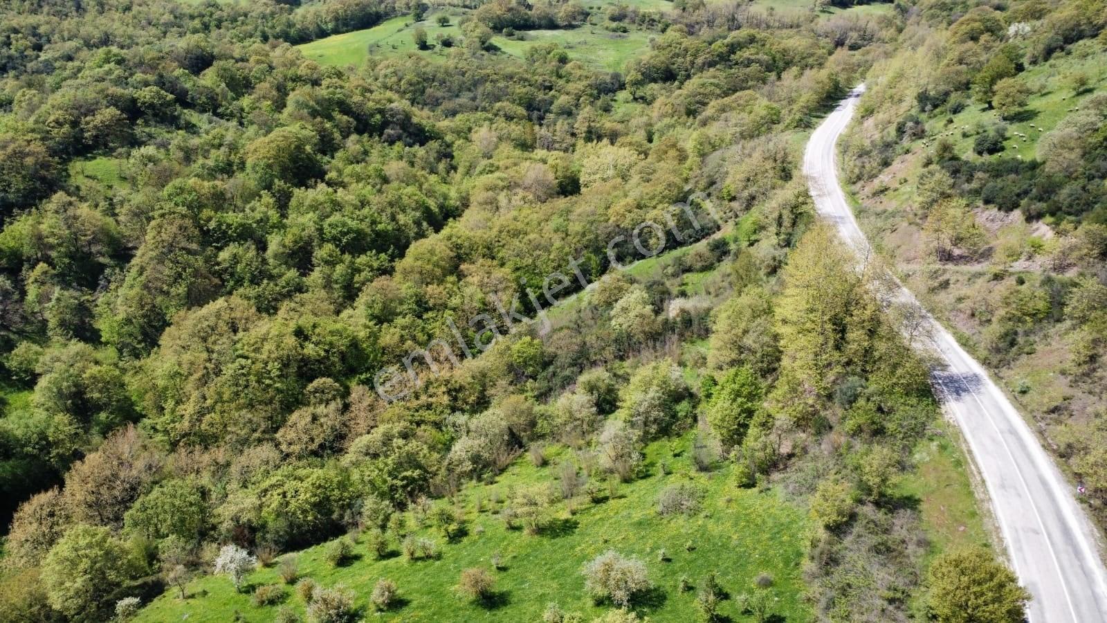 Balıkesir Gönen Gaybular Mahallesinde Ana Yol Üzerinde 17400m2 Satılık Tarla - Görsel 14