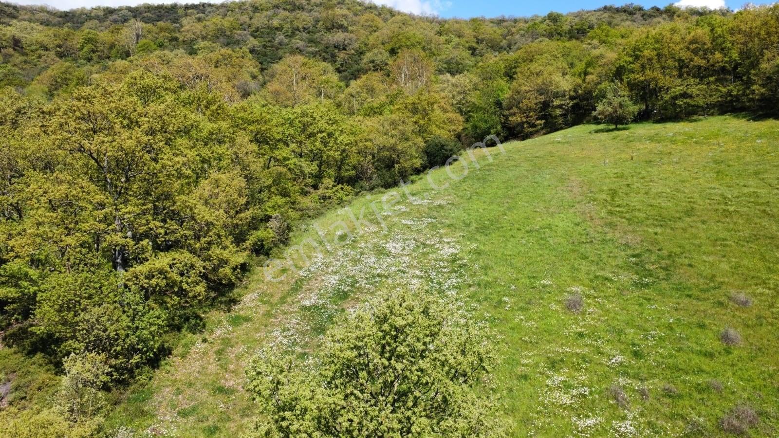 Balıkesir Gönen Gaybular Mahallesinde Ana Yol Üzerinde 17400m2 Satılık Tarla - Görsel 18