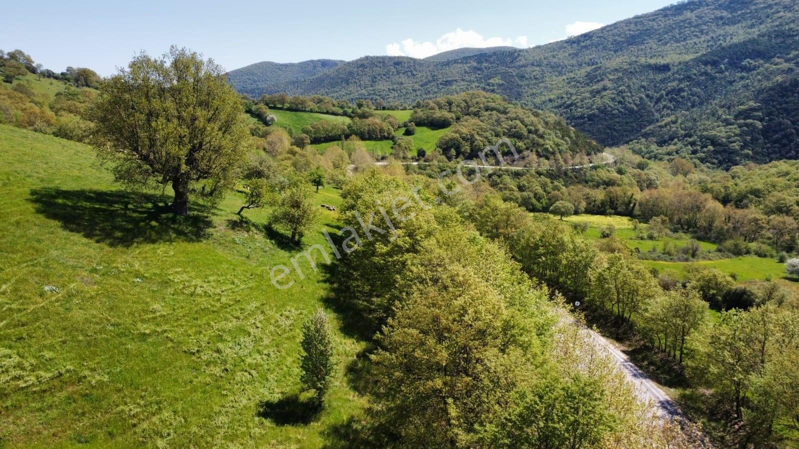 Balıkesir Gönen Gaybular Mahallesinde Ana Yol Üzerinde 17400m2 Satılık Tarla - Görsel 10