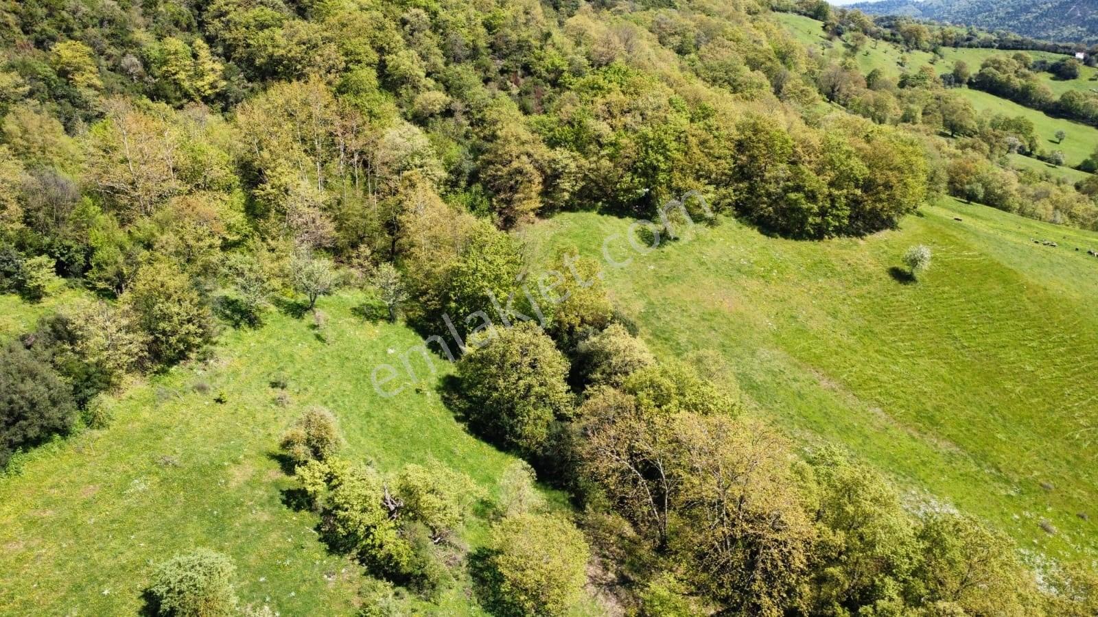 Balıkesir Gönen Gaybular Mahallesinde Ana Yol Üzerinde 17400m2 Satılık Tarla - Görsel 23