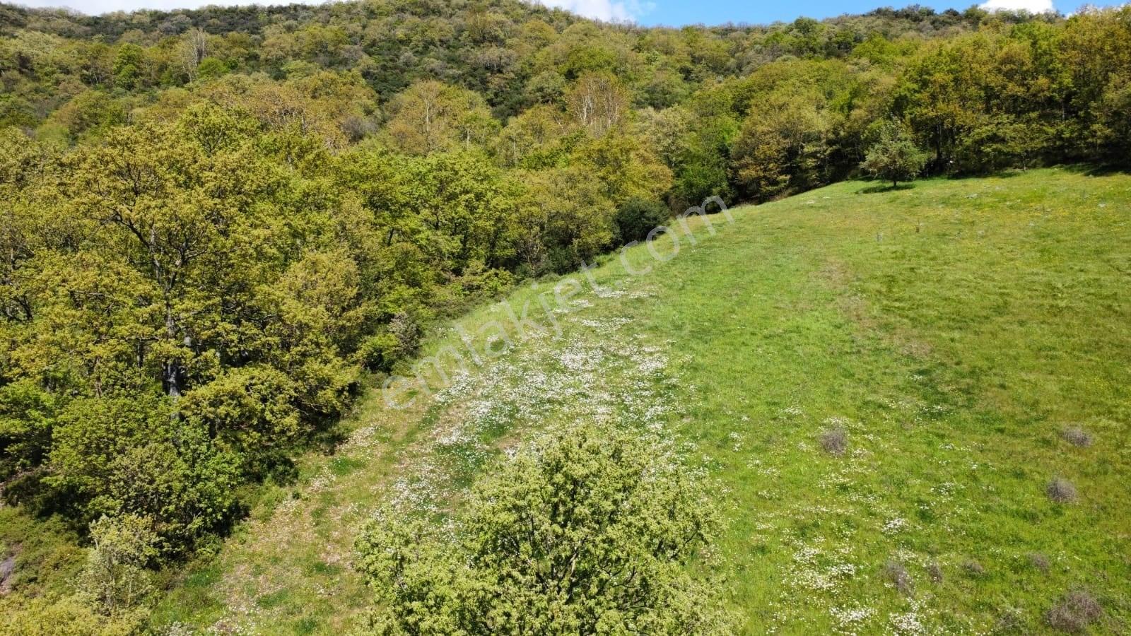 Balıkesir Gönen Gaybular Mahallesinde Ana Yol Üzerinde 17400m2 Satılık Tarla - Görsel 4