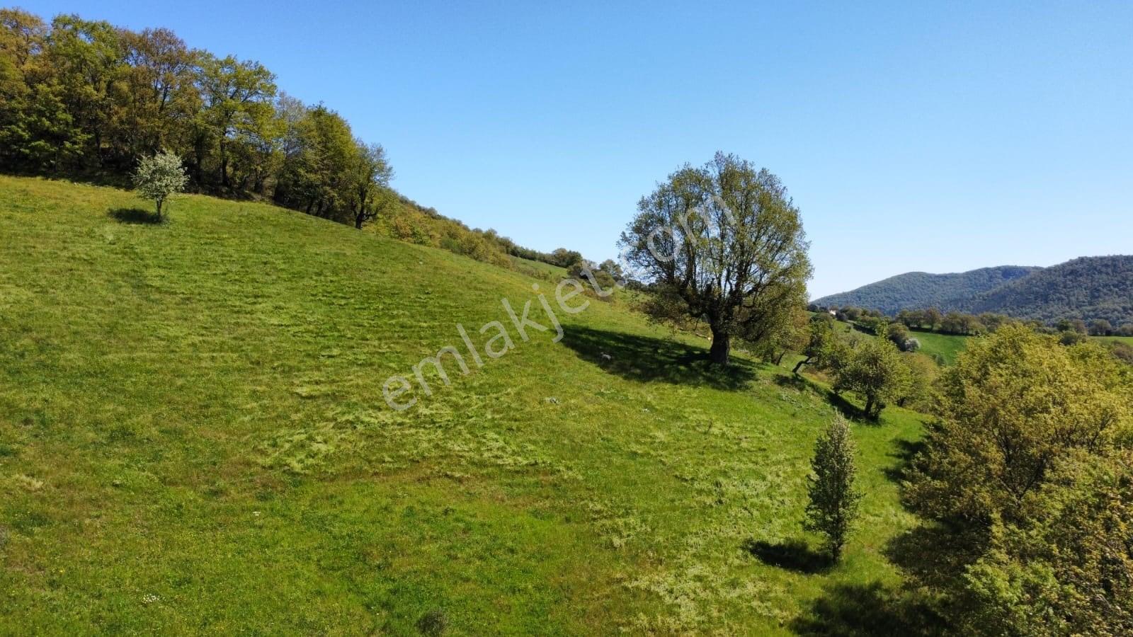 Balıkesir Gönen Gaybular Mahallesinde Ana Yol Üzerinde 17400m2 Satılık Tarla - Görsel 13