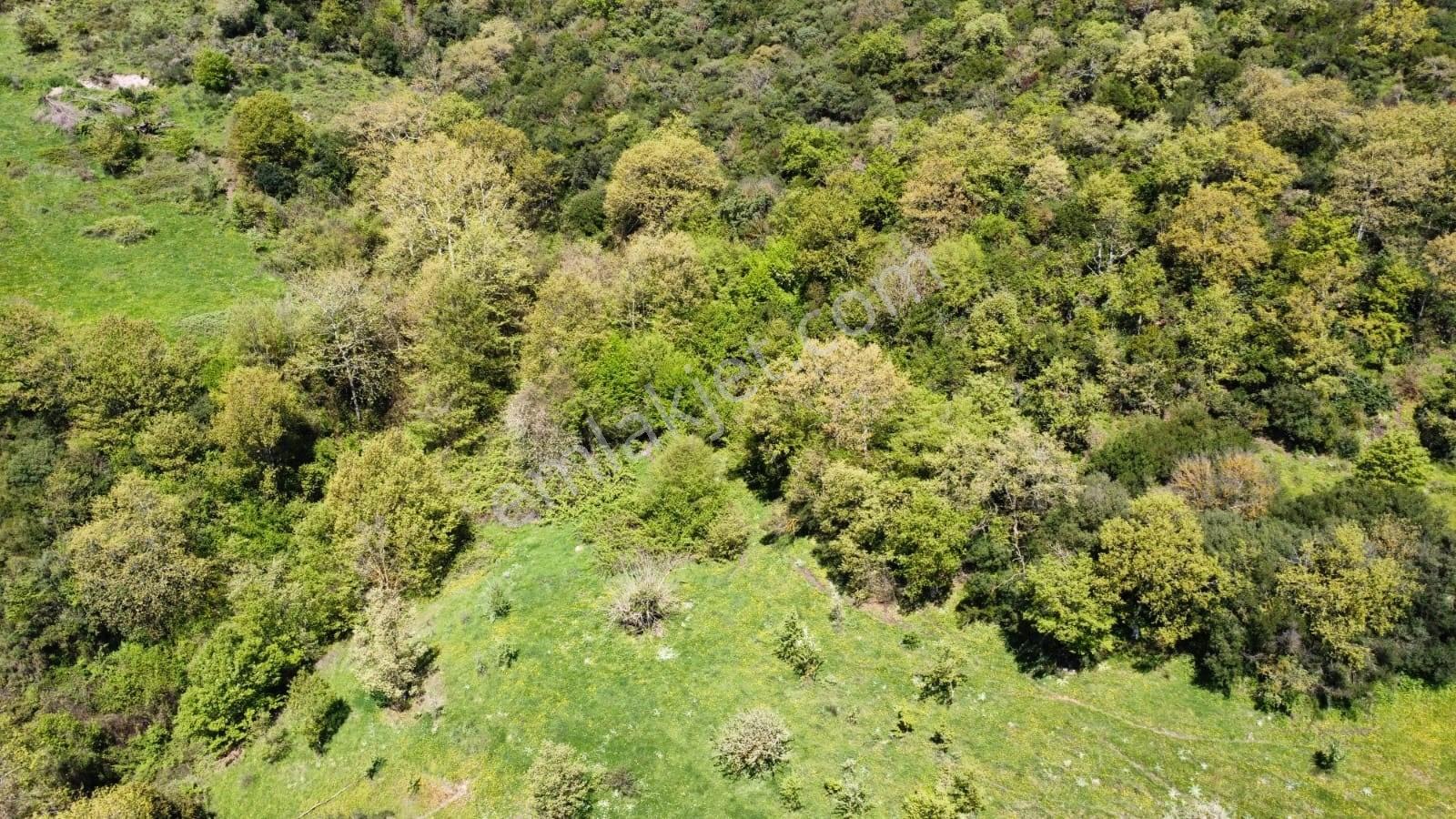 Balıkesir Gönen Gaybular Mahallesinde Ana Yol Üzerinde 17400m2 Satılık Tarla - Görsel 6