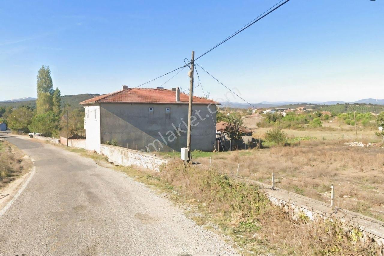 Kavakalan'da Doğanın Kalbinde Köyiçi Yol Kenarı 3.210 M2 Arsa - Görsel 5