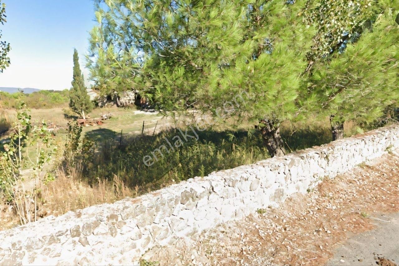 Kavakalan'da Doğanın Kalbinde Köyiçi Yol Kenarı 3.210 M2 Arsa - Görsel 9