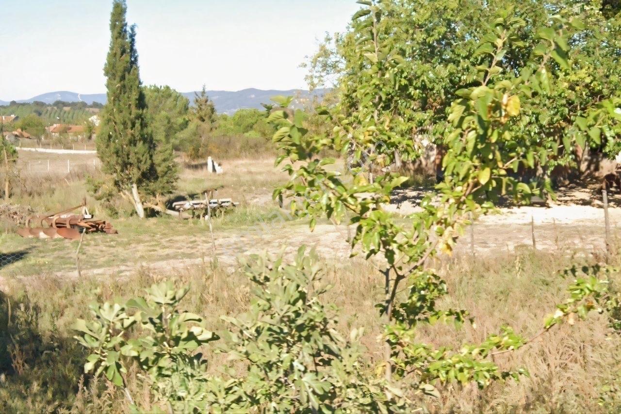 Kavakalan'da Doğanın Kalbinde Köyiçi Yol Kenarı 3.210 M2 Arsa - Görsel 8