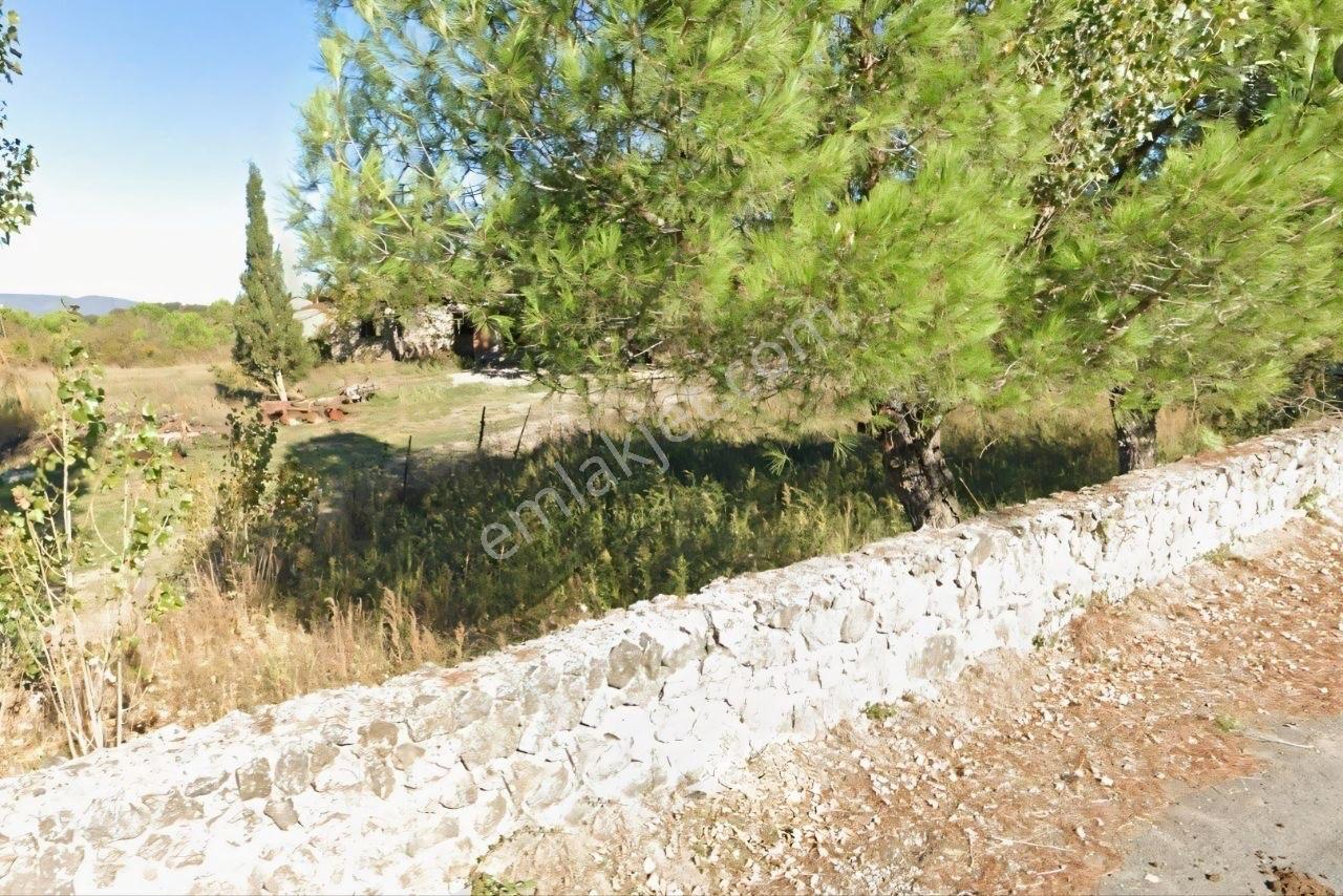 Kavakalan'da Doğanın Kalbinde Köyiçi Yol Kenarı 3.210 M2 Arsa - Görsel 13