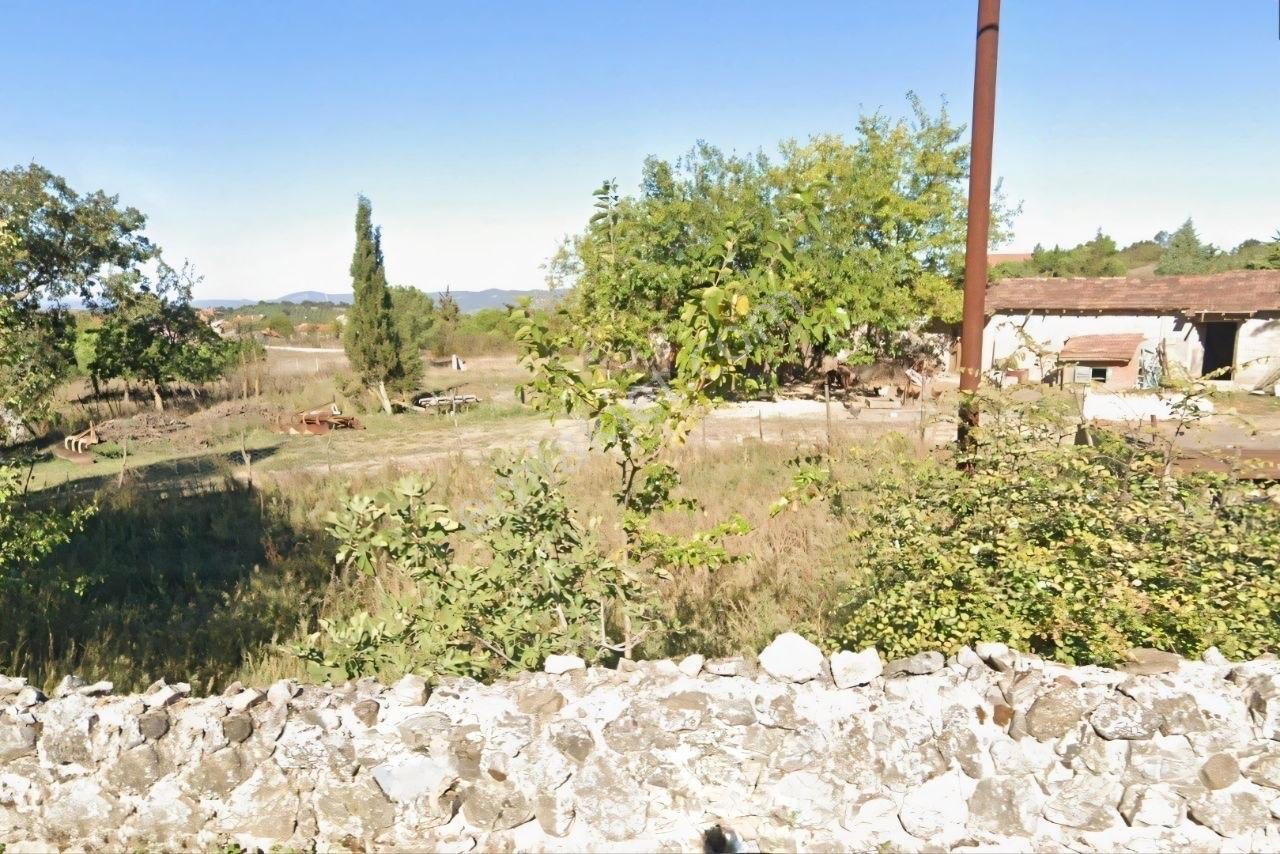 Kavakalan'da Doğanın Kalbinde Köyiçi Yol Kenarı 3.210 M2 Arsa