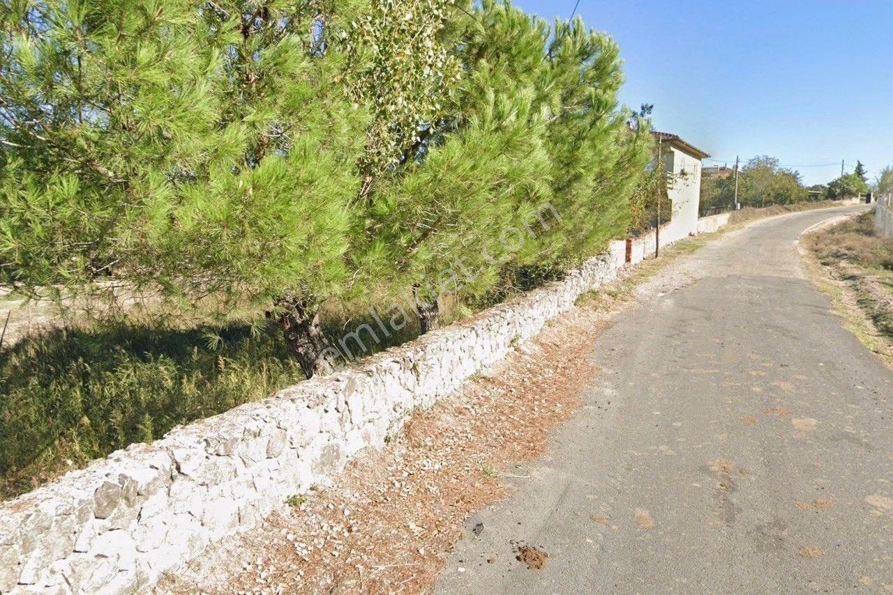 Kavakalan'da Doğanın Kalbinde Köyiçi Yol Kenarı 3.210 M2 Arsa - Görsel 15