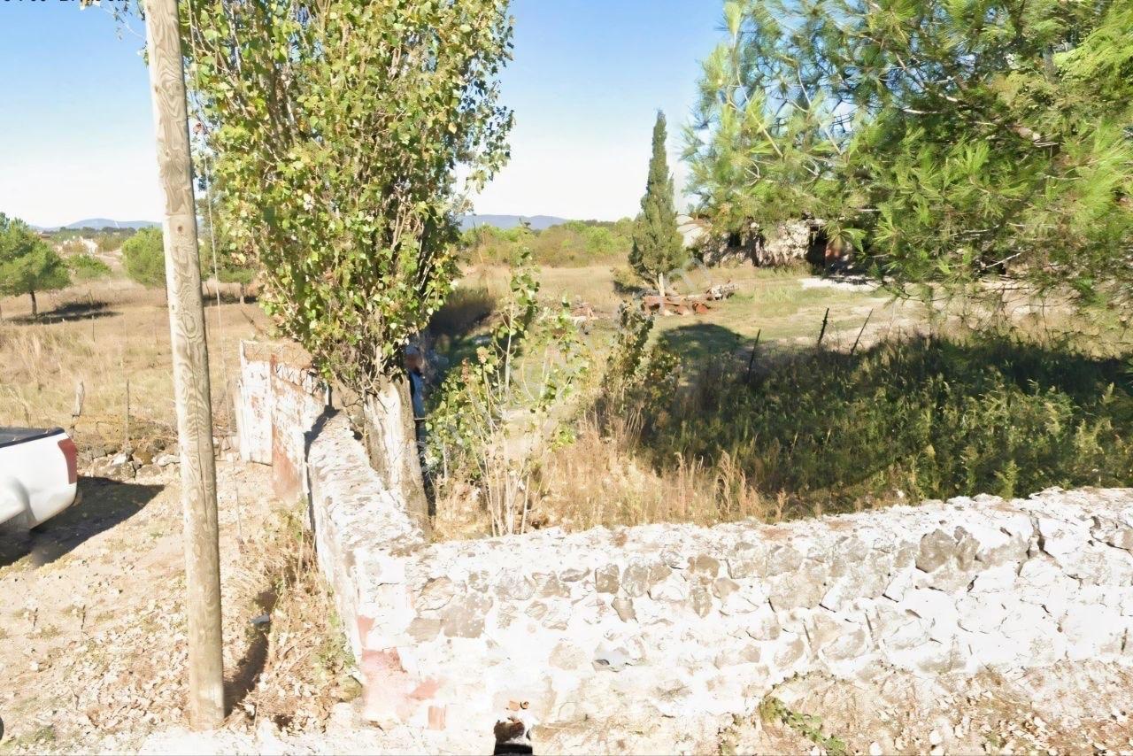 Kavakalan'da Doğanın Kalbinde Köyiçi Yol Kenarı 3.210 M2 Arsa - Görsel 12
