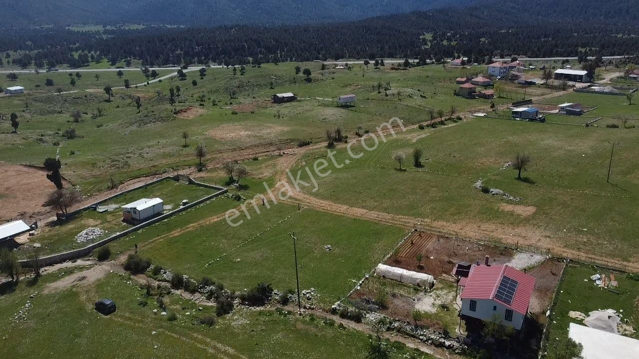 Yayla Karabel Mevkiinde Yerleşime Yakın Satılık Yayla Arazisi - Görsel 34
