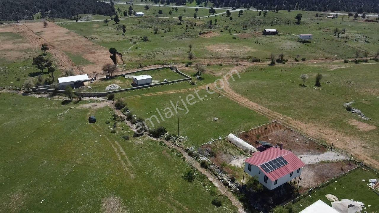 Yayla Karabel Mevkiinde Yerleşime Yakın Satılık Yayla Arazisi - Görsel 4