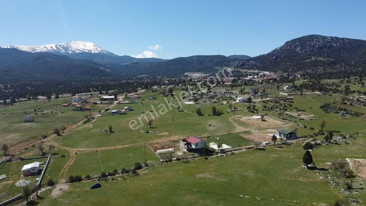 Yayla Karabel Mevkiinde Yerleşime Yakın Satılık Yayla Arazisi - Görsel 35