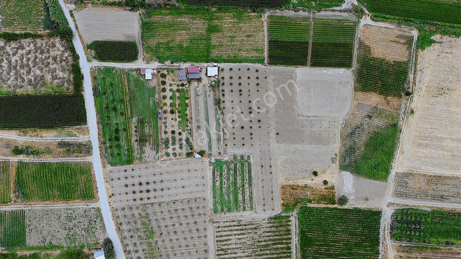 Menemen Doğaköyde Satılık 1773 M2 Tek Tapu Kayısı Bahçesi - Görsel 13