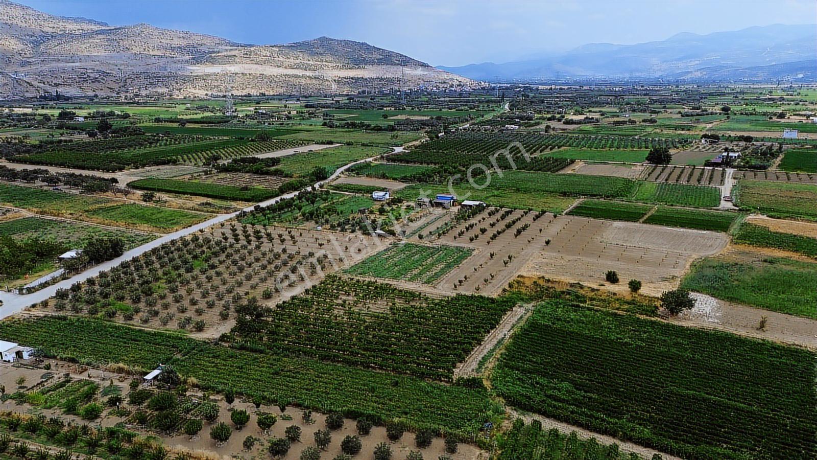 Menemen Doğaköyde Satılık 1773 M2 Tek Tapu Kayısı Bahçesi - Görsel 17