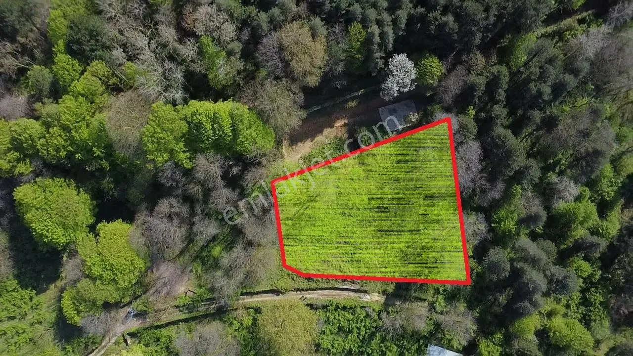 Sapanca Mahmudiyede Panaromik Göl Manzaralı Arsa (saklı Cennet)!