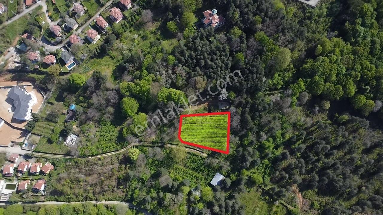 Sapanca Mahmudiyede Panaromik Göl Manzaralı Arsa (saklı Cennet)! - Görsel 30