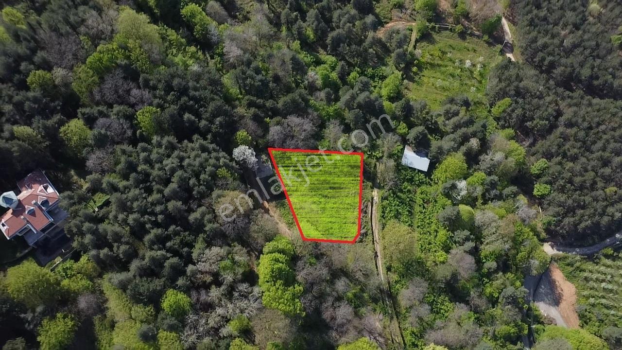 Sapanca Mahmudiyede Panaromik Göl Manzaralı Arsa (saklı Cennet)! - Görsel 7