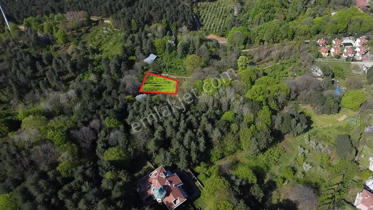 Sapanca Mahmudiyede Panaromik Göl Manzaralı Arsa (saklı Cennet)! - Görsel 6