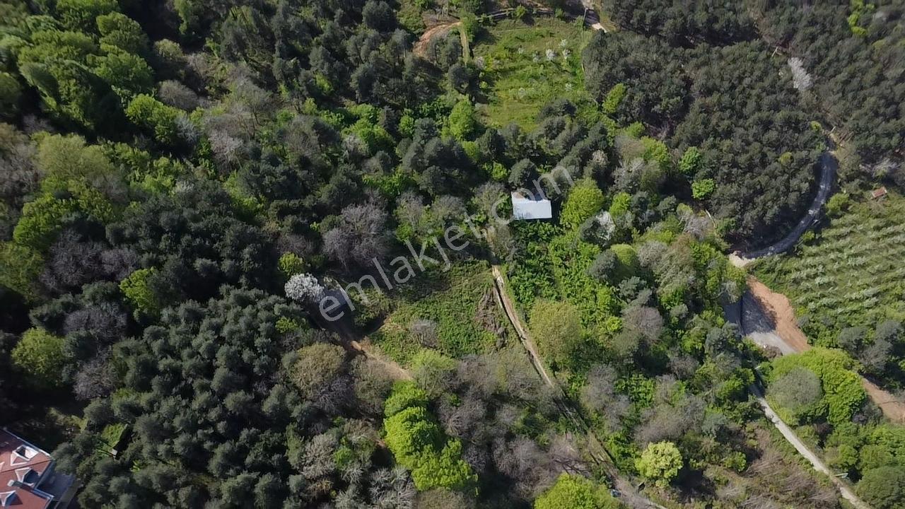 Sapanca Mahmudiyede Panaromik Göl Manzaralı Arsa (saklı Cennet)! - Görsel 16