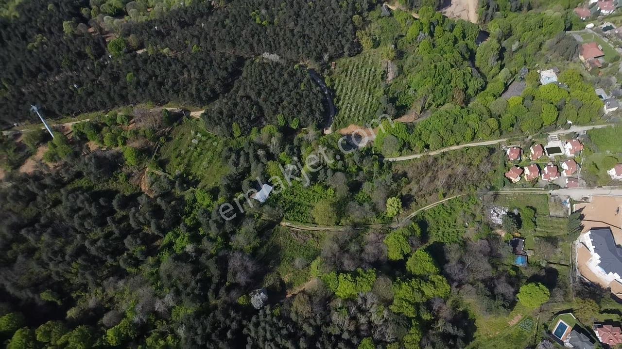 Sapanca Mahmudiyede Panaromik Göl Manzaralı Arsa (saklı Cennet)! - Görsel 19