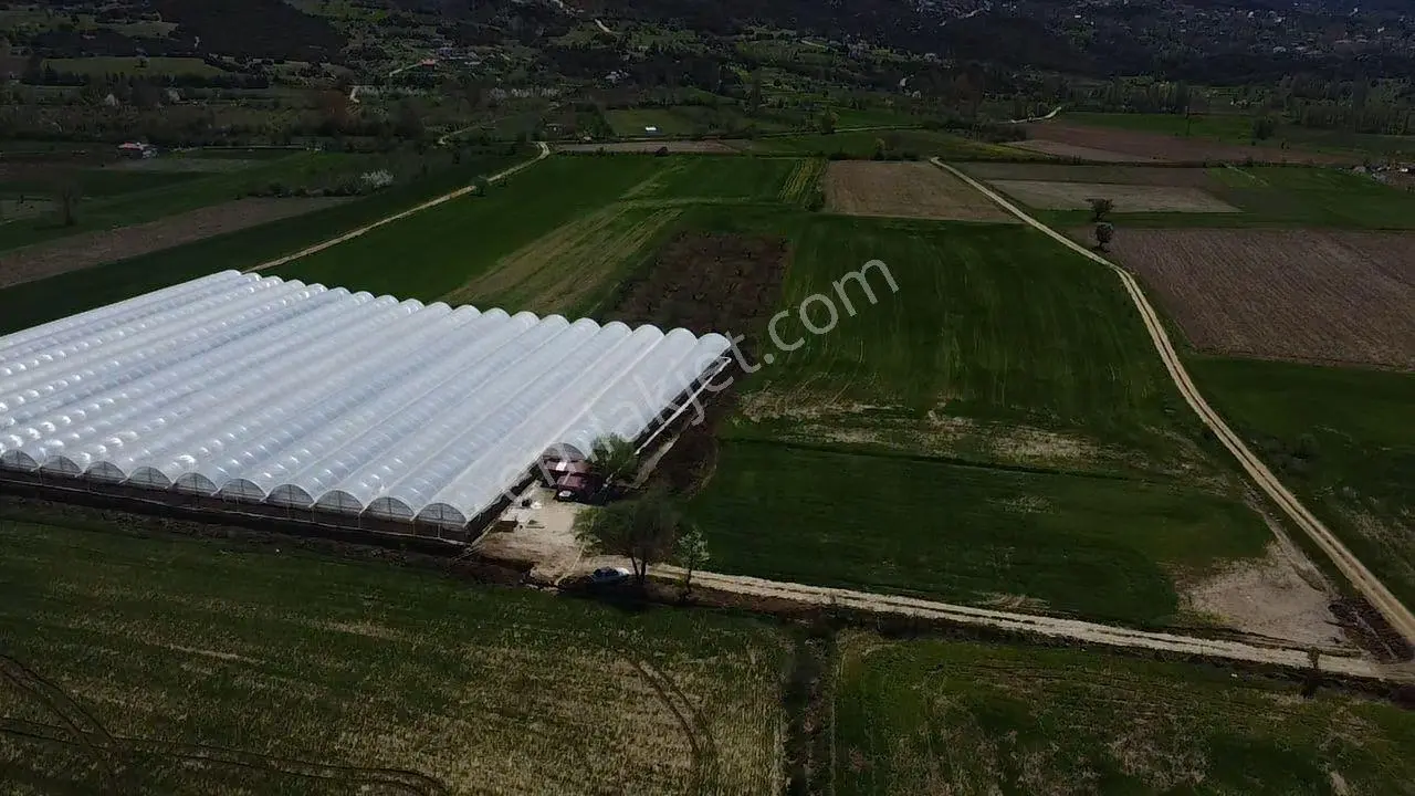 S.kemer Sekide 10 Dönüm Kapalı Seralı Hazır Yatırım Fırsatı ! - Görsel 35