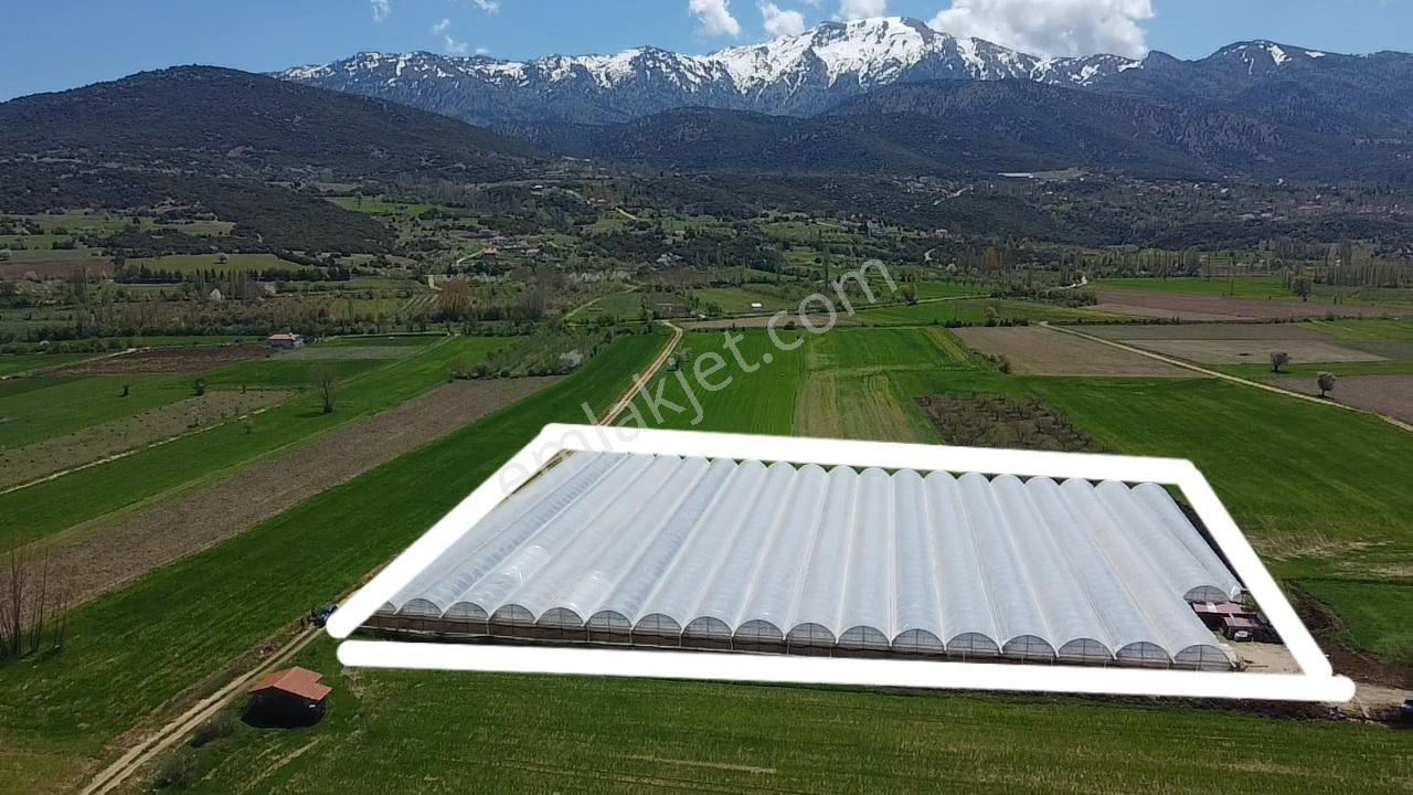 S.kemer Sekide 10 Dönüm Kapalı Seralı Hazır Yatırım Fırsatı ! - Görsel 2
