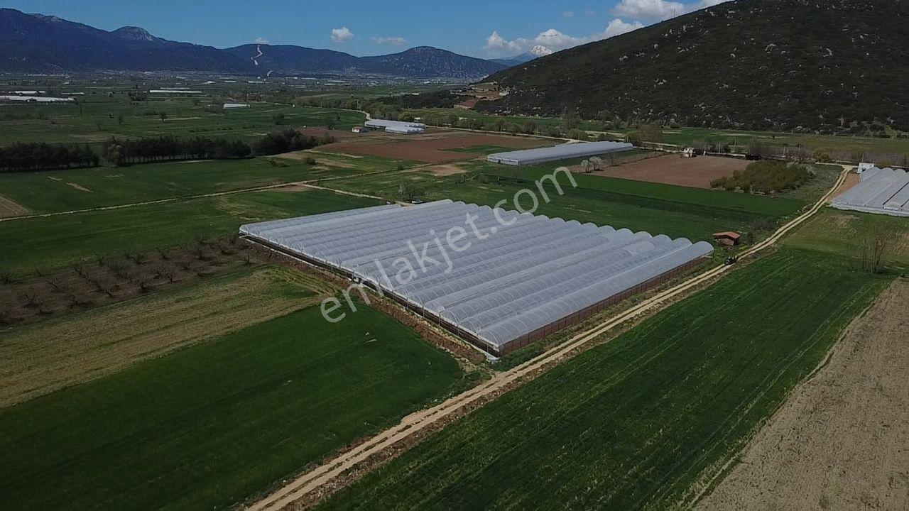 S.kemer Sekide 10 Dönüm Kapalı Seralı Hazır Yatırım Fırsatı ! - Görsel 4