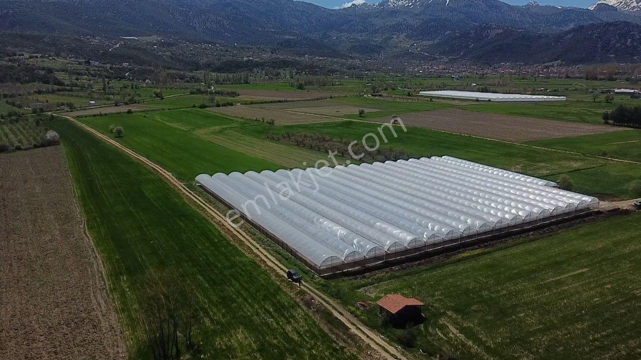 S.kemer Sekide 10 Dönüm Kapalı Seralı Hazır Yatırım Fırsatı ! - Görsel 5