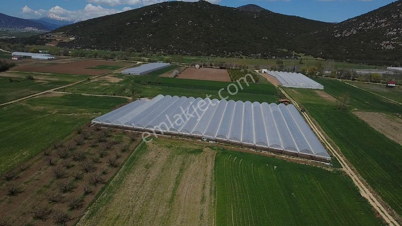 S.kemer Sekide 10 Dönüm Kapalı Seralı Hazır Yatırım Fırsatı ! - Görsel 31