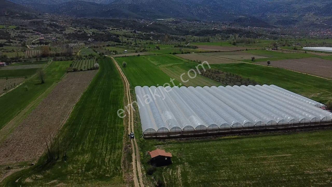 S.kemer Sekide 10 Dönüm Kapalı Seralı Hazır Yatırım Fırsatı ! - Görsel 6
