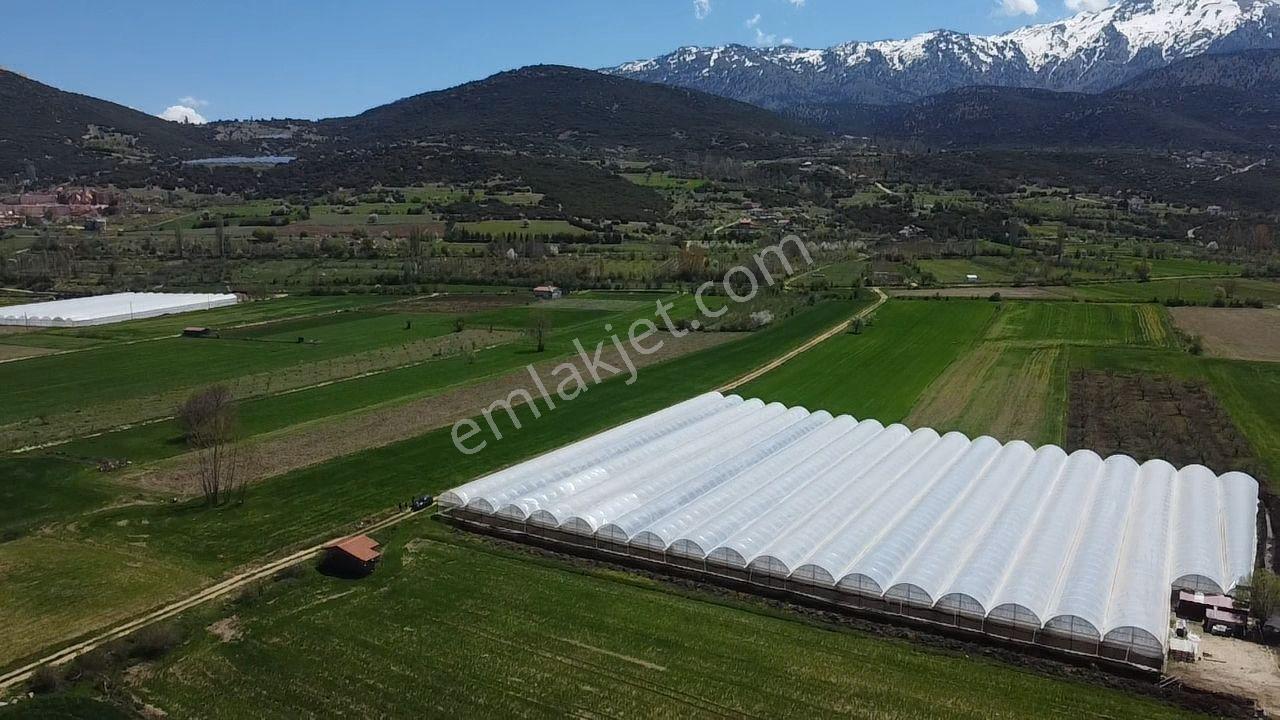 S.kemer Sekide 10 Dönüm Kapalı Seralı Hazır Yatırım Fırsatı ! - Görsel 7